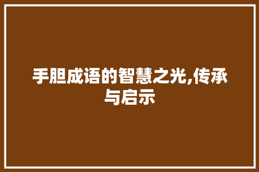 手胆成语的智慧之光,传承与启示