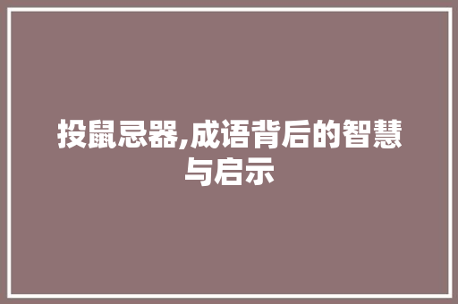 投鼠忌器,成语背后的智慧与启示