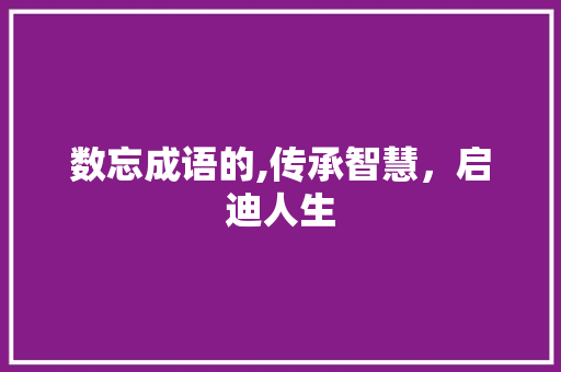 数忘成语的,传承智慧，启迪人生