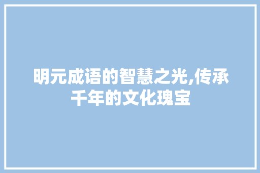 明元成语的智慧之光,传承千年的文化瑰宝 工作总结
