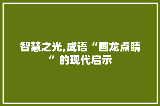 智慧之光,成语“画龙点睛”的现代启示