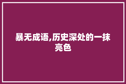 暴无成语,历史深处的一抹亮色