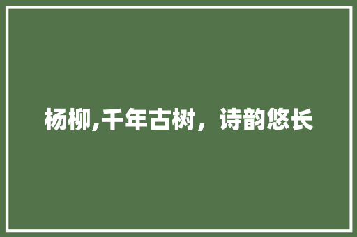 杨柳,千年古树，诗韵悠长