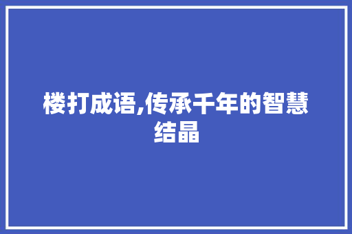 楼打成语,传承千年的智慧结晶 诗词体裁