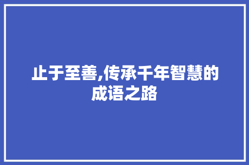 止于至善,传承千年智慧的成语之路