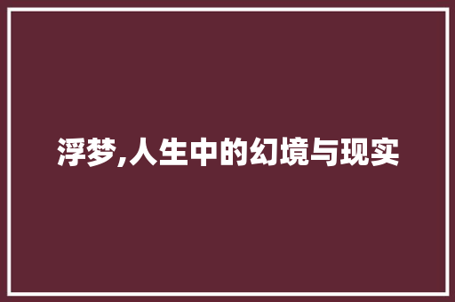 浮梦,人生中的幻境与现实