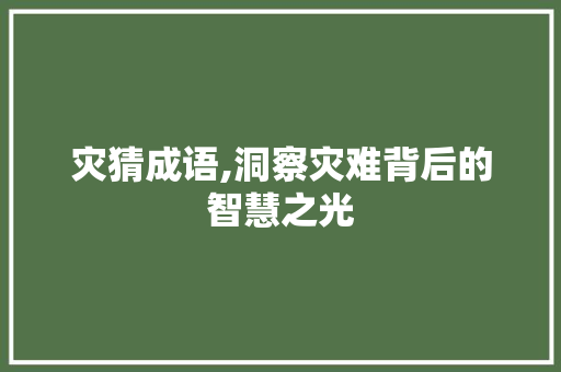 灾猜成语,洞察灾难背后的智慧之光