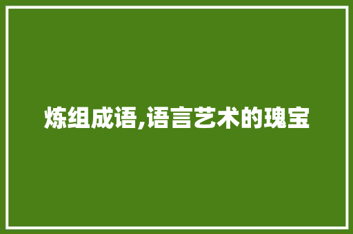 炼组成语,语言艺术的瑰宝