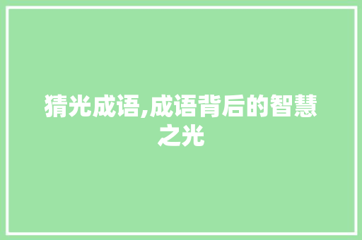 猜光成语,成语背后的智慧之光