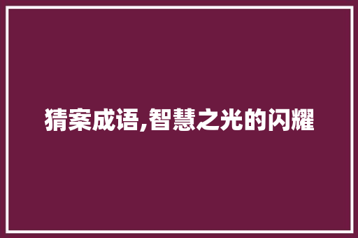 猜案成语,智慧之光的闪耀