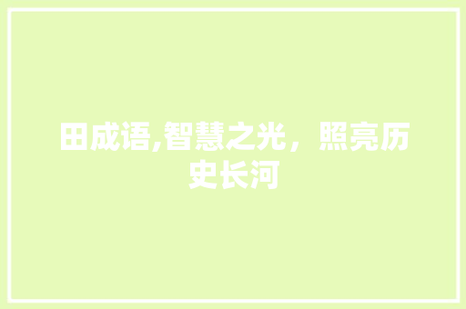 田成语,智慧之光，照亮历史长河