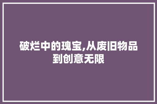 破烂中的瑰宝,从废旧物品到创意无限