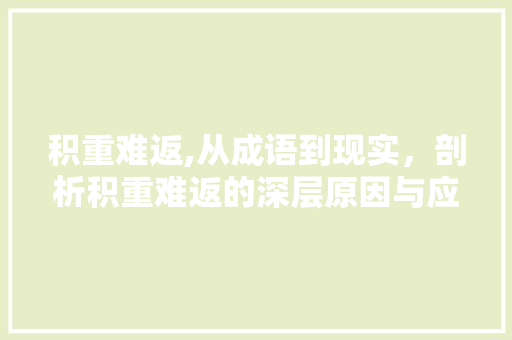 积重难返,从成语到现实，剖析积重难返的深层原因与应对步骤