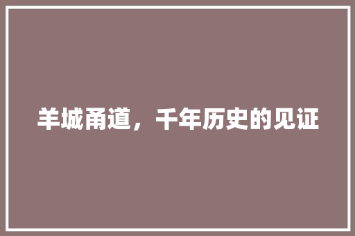 羊城甬道，千年历史的见证