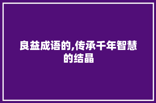 良益成语的,传承千年智慧的结晶