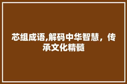 芯组成语,解码中华智慧，传承文化精髓