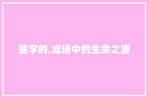 茎字的,成语中的生命之源