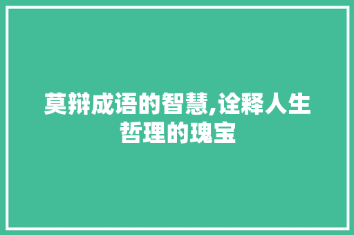 莫辩成语的智慧,诠释人生哲理的瑰宝