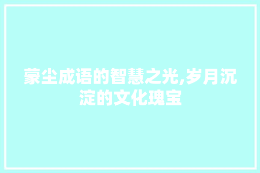 蒙尘成语的智慧之光,岁月沉淀的文化瑰宝