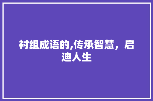 衬组成语的,传承智慧，启迪人生