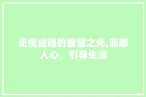 见情成语的智慧之光,洞悉人心，引导生活