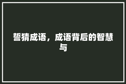 誓猜成语，成语背后的智慧与