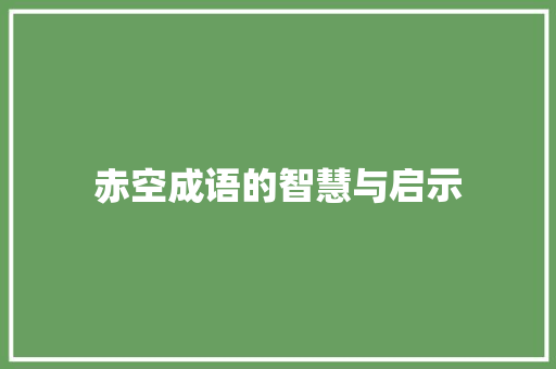 赤空成语的智慧与启示