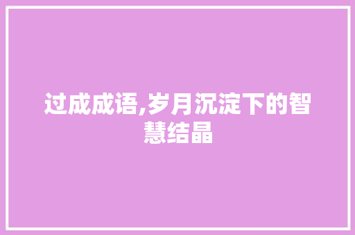 过成成语,岁月沉淀下的智慧结晶