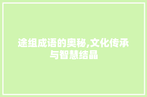 途组成语的奥秘,文化传承与智慧结晶