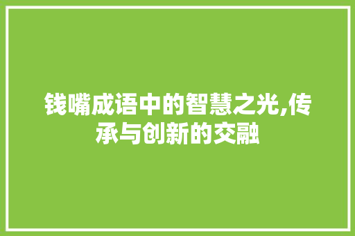 钱嘴成语中的智慧之光,传承与创新的交融
