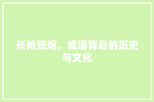长枪短炮，成语背后的历史与文化