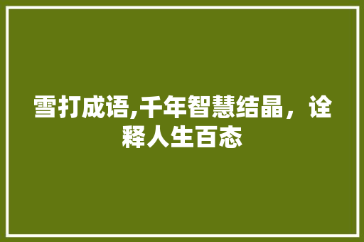 雪打成语,千年智慧结晶，诠释人生百态
