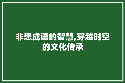 非想成语的智慧,穿越时空的文化传承