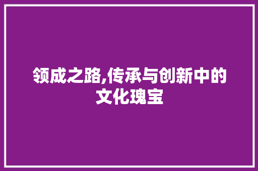 领成之路,传承与创新中的文化瑰宝