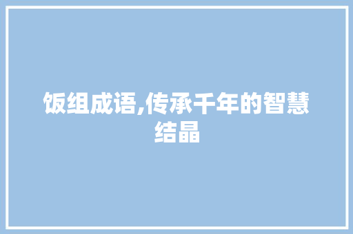 饭组成语,传承千年的智慧结晶 社交媒体