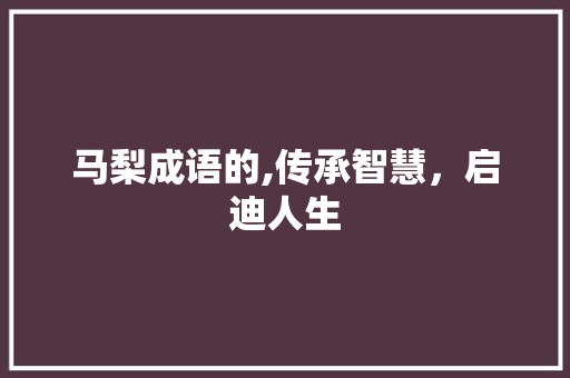 马梨成语的,传承智慧，启迪人生