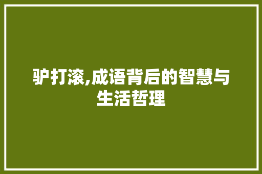 驴打滚,成语背后的智慧与生活哲理