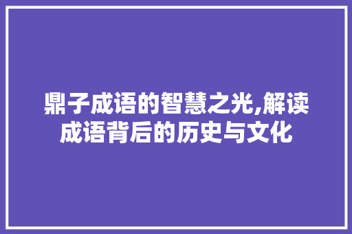 鼎子成语的智慧之光,解读成语背后的历史与文化