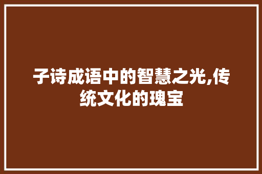 子诗成语中的智慧之光,传统文化的瑰宝