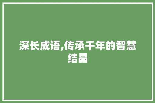 深长成语,传承千年的智慧结晶 应用文