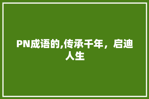 PN成语的,传承千年，启迪人生