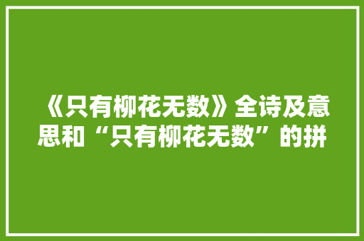 《只有柳花无数》全诗及意思和“只有柳花无数”的拼音注释 诗词鉴赏