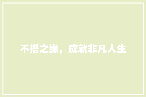 不搭之缘，成就非凡人生 工作总结
