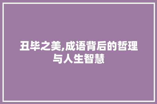 丑毕之美,成语背后的哲理与人生智慧