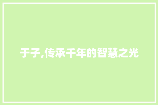 于子,传承千年的智慧之光