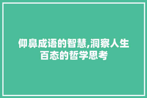 仰鼻成语的智慧,洞察人生百态的哲学思考