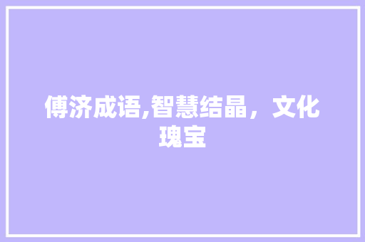 傅济成语,智慧结晶，文化瑰宝