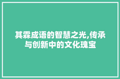 其霖成语的智慧之光,传承与创新中的文化瑰宝