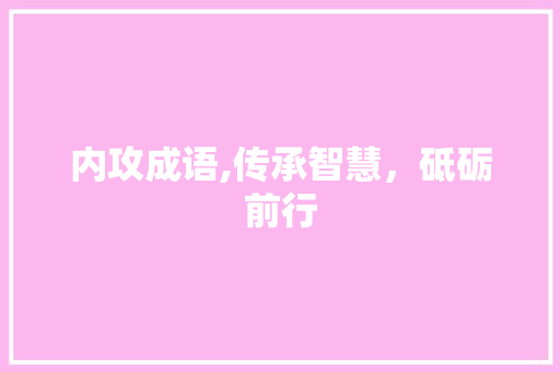内攻成语,传承智慧，砥砺前行