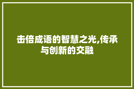 击倍成语的智慧之光,传承与创新的交融